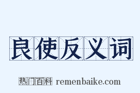 良使反义词是什么意思的图片